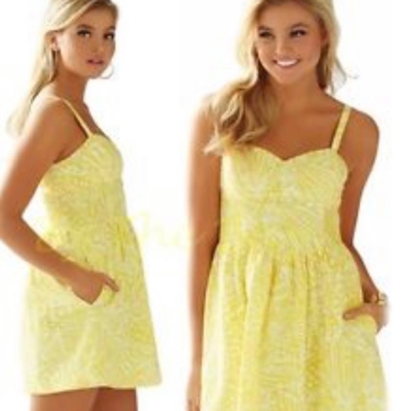 NWT!! Lilly Pulitzer Christine dress - Picture 7 of 7
